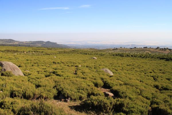 Bale Mountains Nationalpark