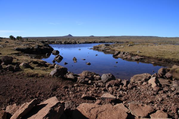 Bale Mountains Nationalpark