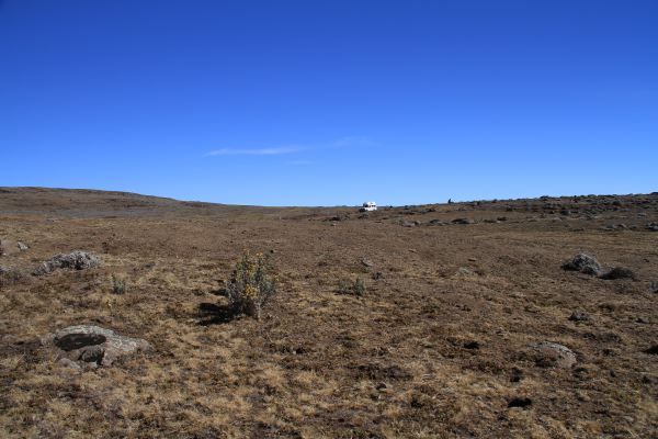 In den Bale Mountains