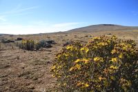 Bale Mountains