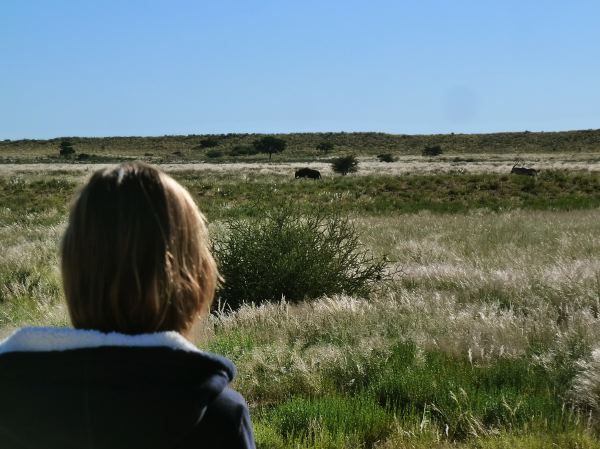 Nur an ausgewählten Picknick-Plätzen darf man das Auto verlassen