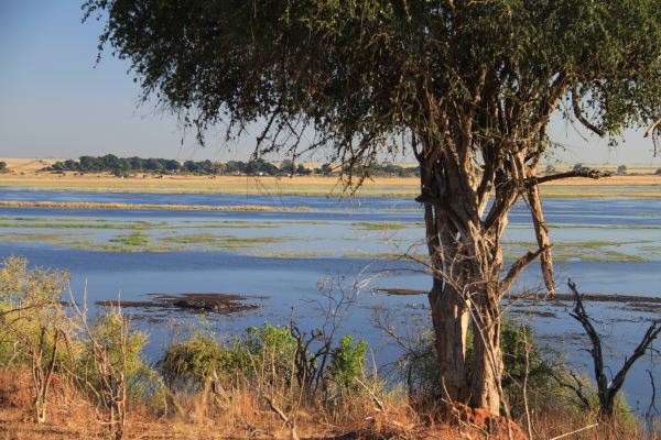 Chobe-Nationalpark