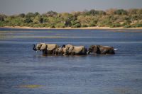 Zusammen durchs Wasser