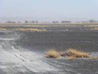 Wir erreichen die Salt Pans