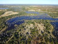 ...Okavango Delta