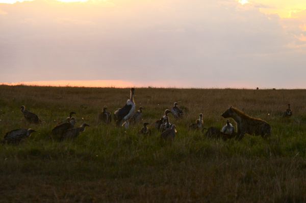 Ein letztes Abendmahl