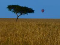 Für 500 Dollar (!) könnte man eine Balloon-Safari buchen