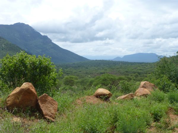 Schöne Landschaft im Tsavo