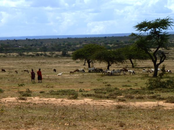 Und vielen Tiere hütenden Kindern