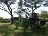 Palm Shade Camp Lake Turkana