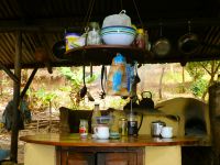 Mushroom-Farm Backpackers