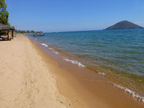 Fat Monkey, Lake Malawi