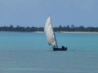 Ein paar Dhows segeln vorbei