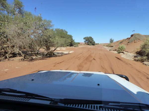 Ab geht´s zu den Dünen (nur 4x4 erlaubt)