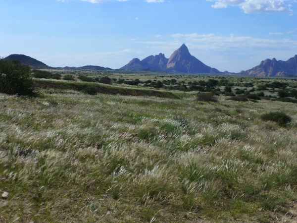 Die Spitzkoppe, das Matterhorn Afrikas