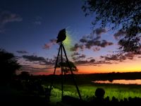 Am Flutlicht-Wasserloch im Okakujevo-Camp