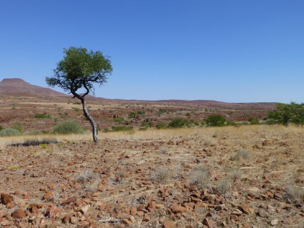 Schöne Landschaft