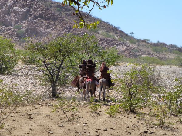 und da reiten sie wieder davon