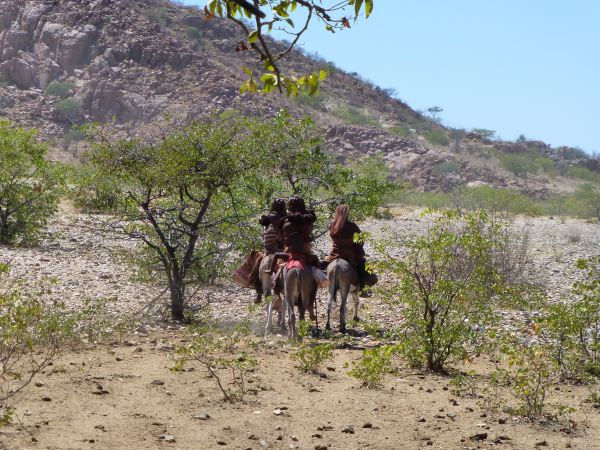 und da reiten sie wieder davon