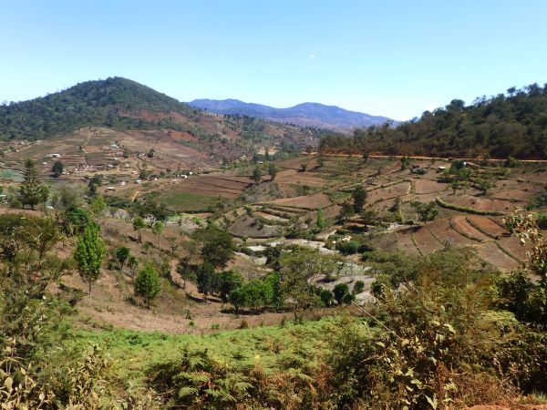 Usambara Mountains