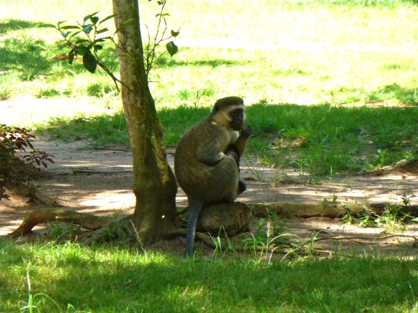 Daumenlutschende Mama