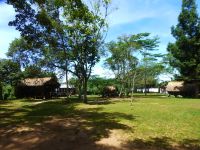 Hornbill Campsite