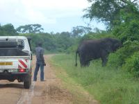 Auf dem Heimweg nach Mbarara...