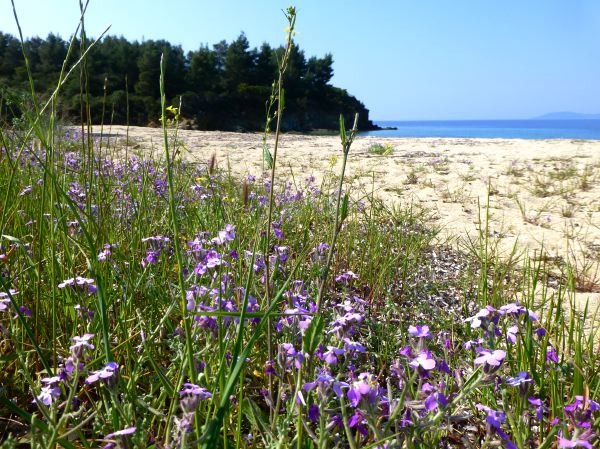 Frühling in Griechenland