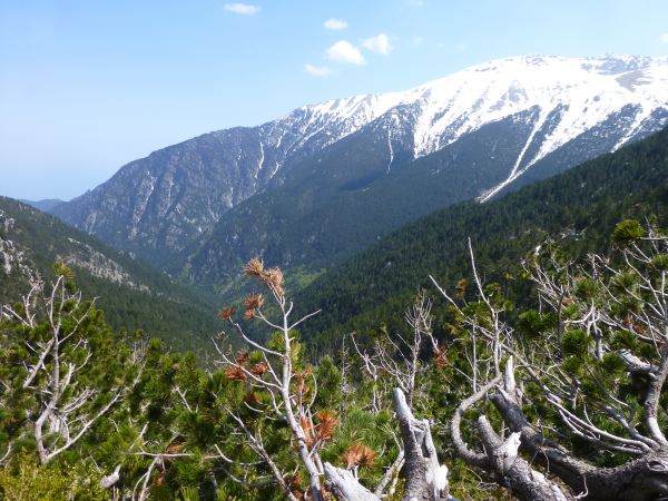 Aublick vom Mount Olympus