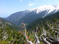 Aublick vom Mount Olympus