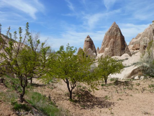 Schöne Wanderung