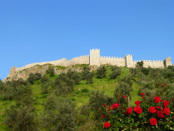 ...dafür Blick auf die Burg