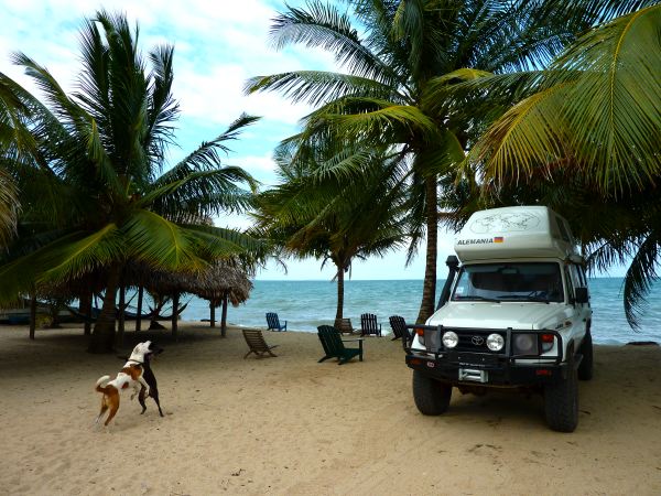 Direkt am Strand - unser Doggie und sein Flirt für heute