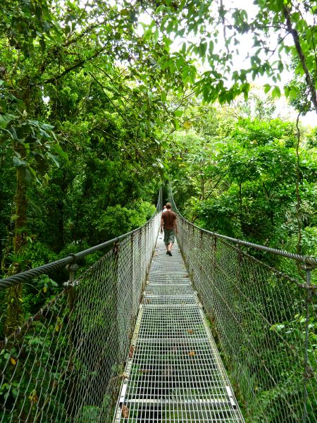 Und wir laufen die Hanging Bridges entlang...