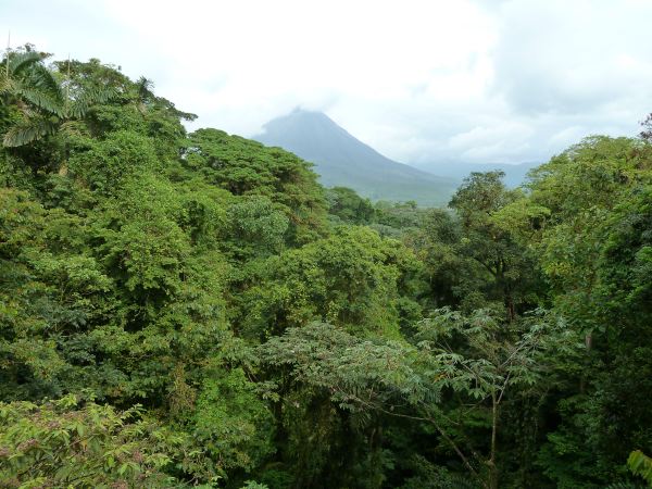 da spitzt auch mal wieder der Arenal hervor