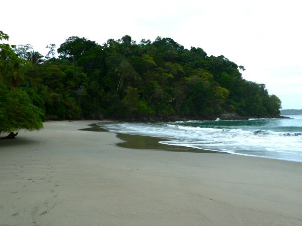 Bucht im Nationalpark, links der giftige...