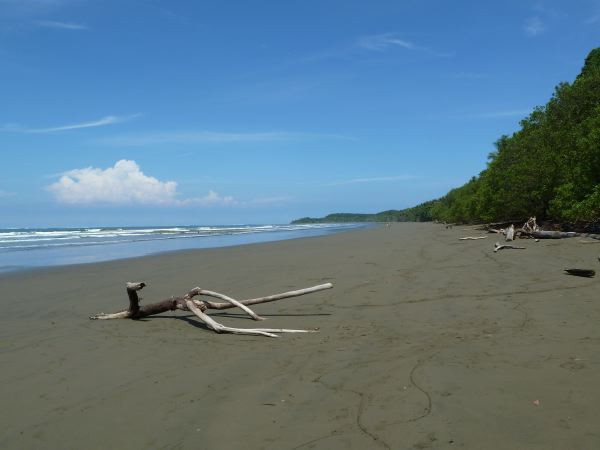 Der Strand bei Uvita am 12.4. - erst ein...