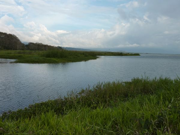 Lago Yojoa