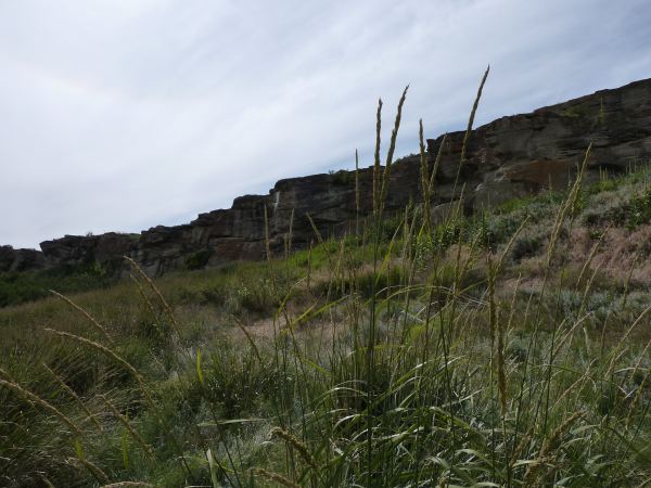 Buffalo Jump