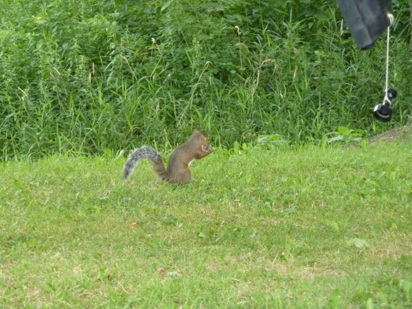 Putziger Morgenbesuch