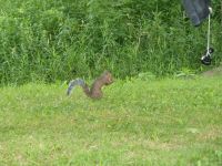 Putziger Morgenbesuch