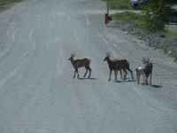 Auf dem Weg in den Provincial Park