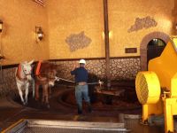 In der Tequila-Destillerie