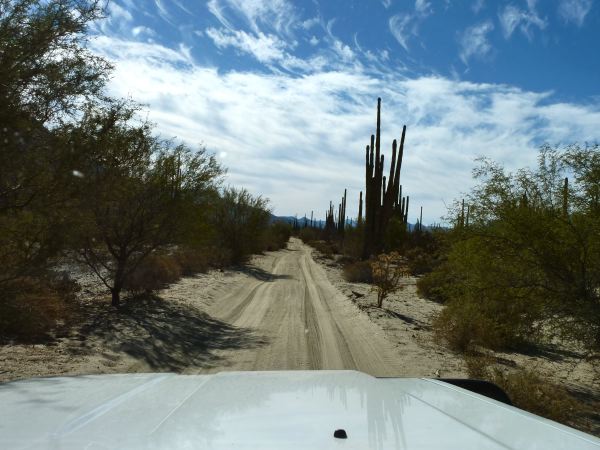 Auf der Strecke nach San Francisquito