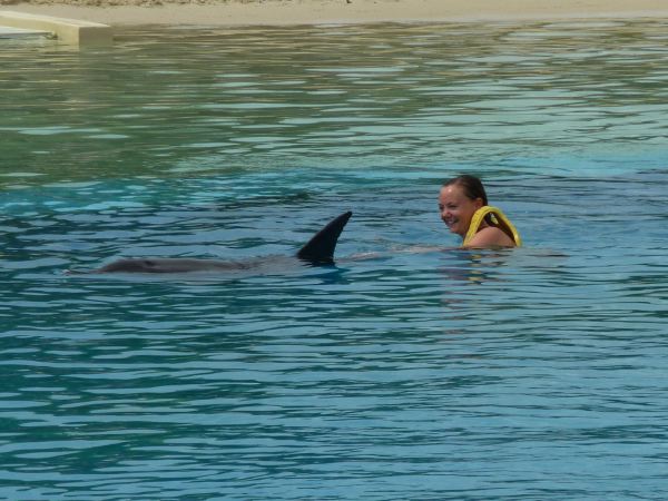 Planschen mit Flipper