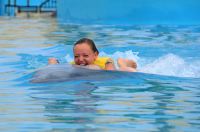 Dolphin-Ride