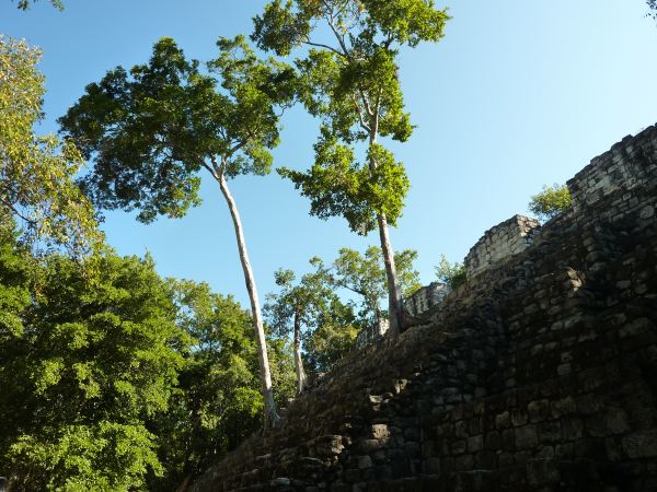 Calakmul