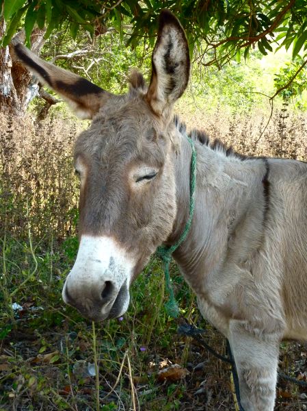 Andrea´s neuer Freund