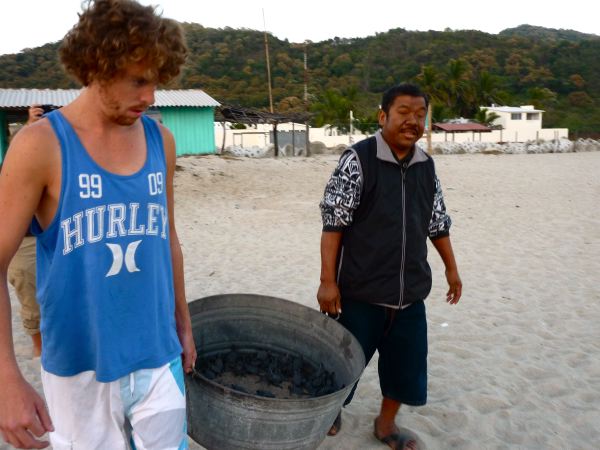 Nun ist es soweit...Jamie und Jorge tragen die Kleinen näher zum Wasser...