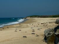 Hunderte kommen aus dem Meer